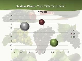 Winery Grape Arrangement PowerPoint Template