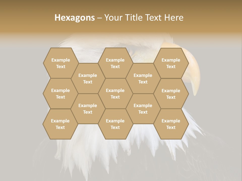 Screaming Nature Closeup PowerPoint Template