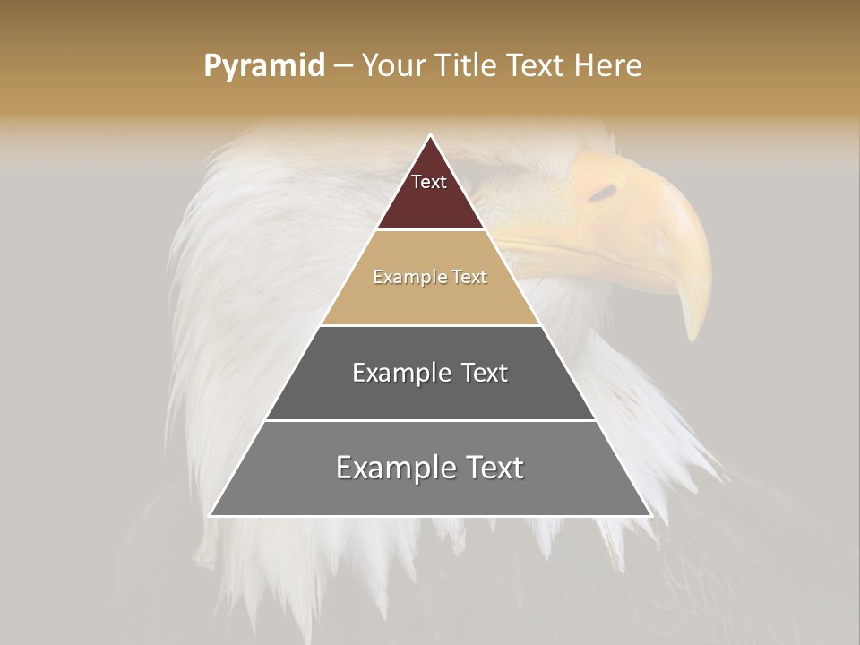 Screaming Nature Closeup PowerPoint Template