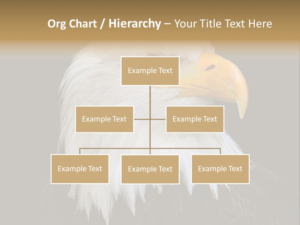 Screaming Nature Closeup PowerPoint Template