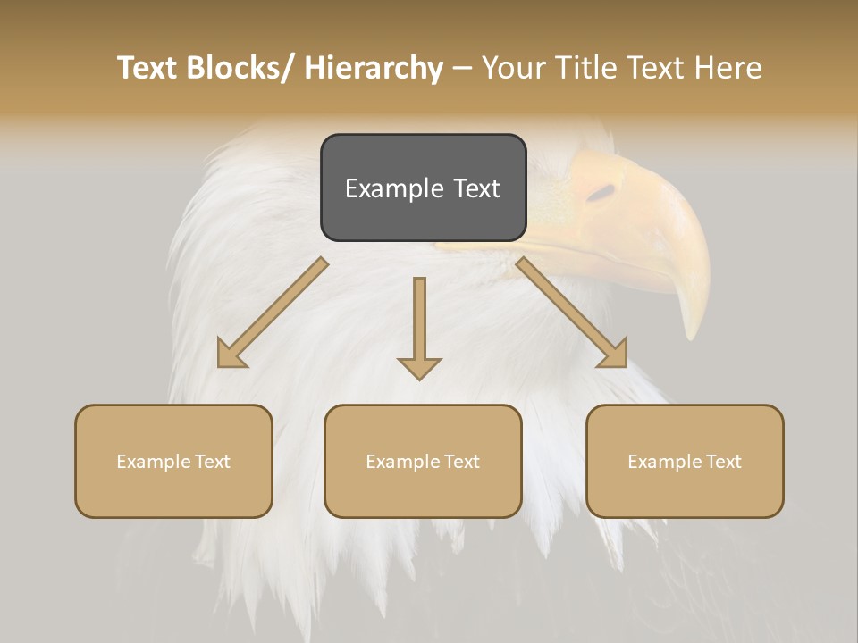 Screaming Nature Closeup PowerPoint Template