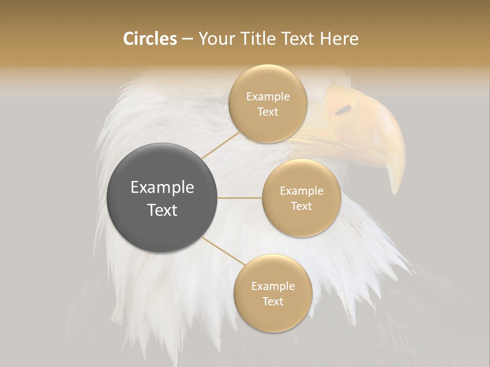 Screaming Nature Closeup PowerPoint Template