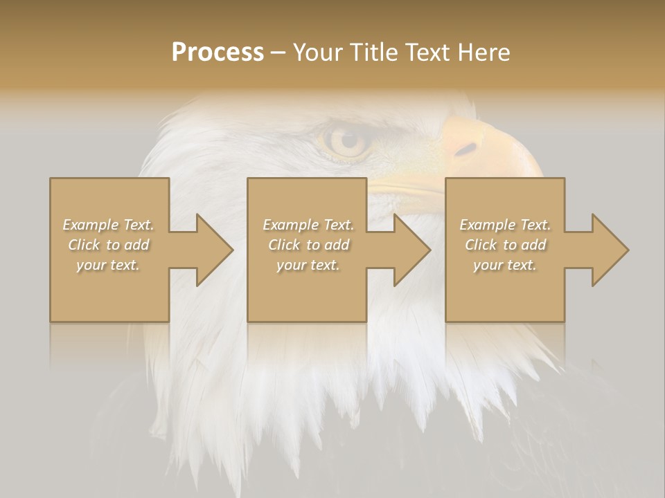 Screaming Nature Closeup PowerPoint Template