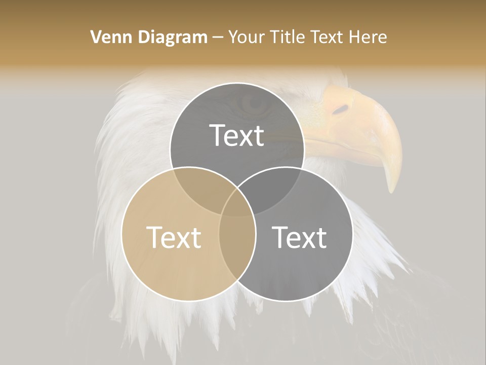 Screaming Nature Closeup PowerPoint Template