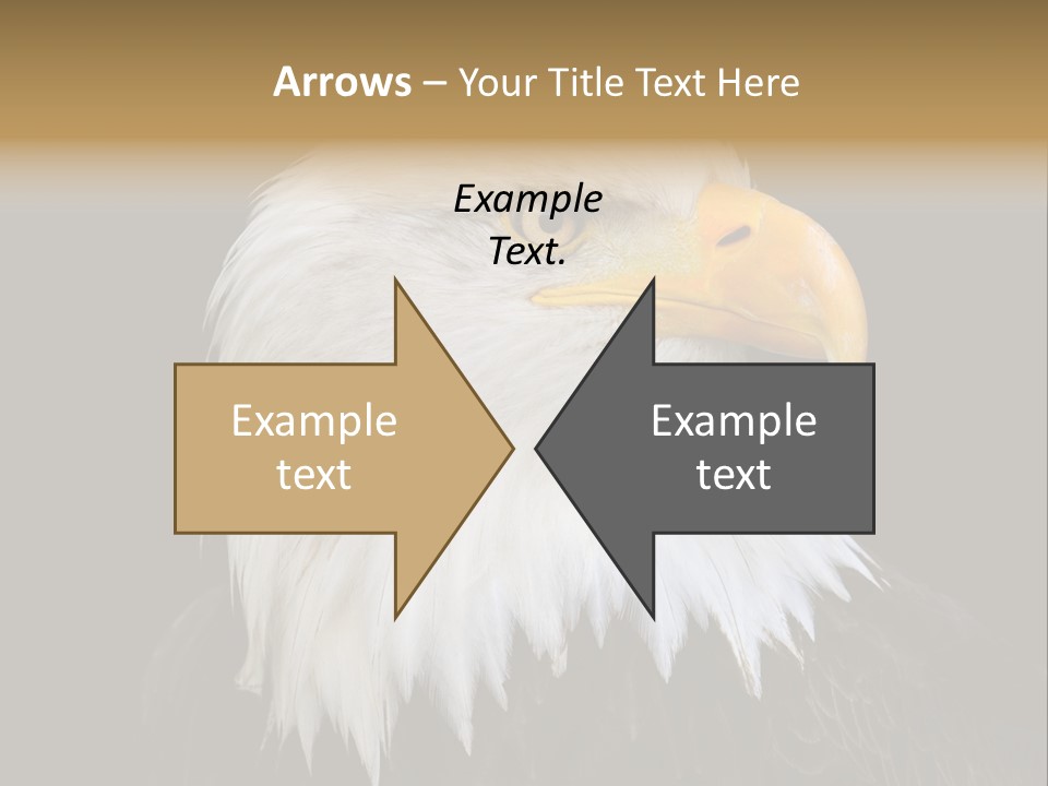 Screaming Nature Closeup PowerPoint Template