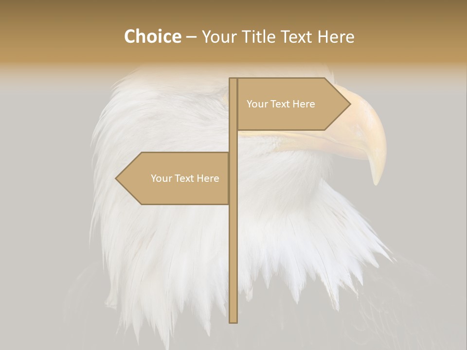 Screaming Nature Closeup PowerPoint Template