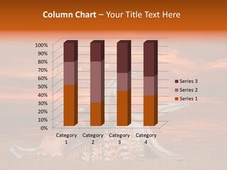 Pacific Water Cloudy PowerPoint Template