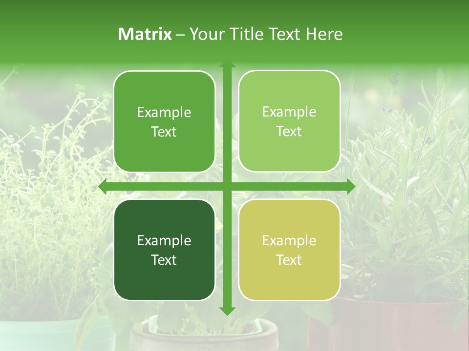 South Sitting Smile PowerPoint Template