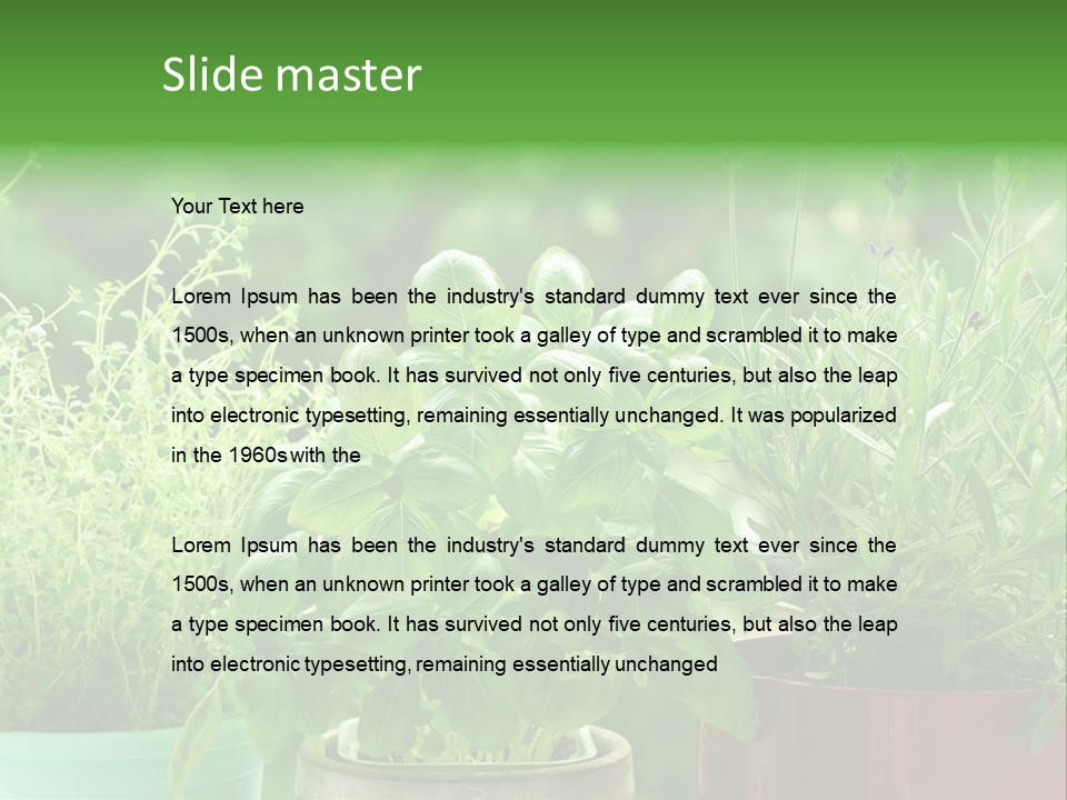 South Sitting Smile PowerPoint Template