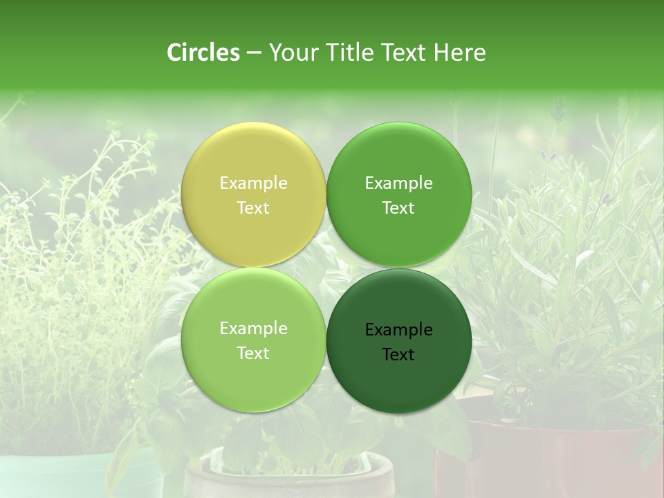 South Sitting Smile PowerPoint Template