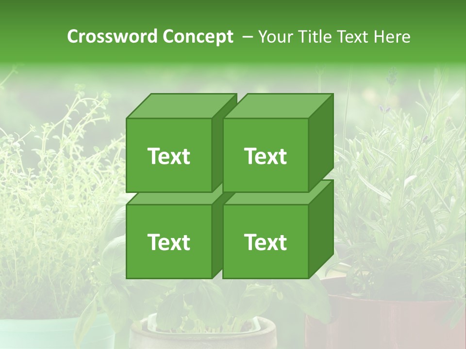 South Sitting Smile PowerPoint Template