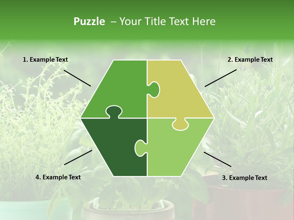 South Sitting Smile PowerPoint Template