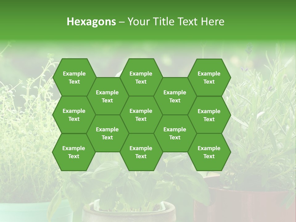 South Sitting Smile PowerPoint Template