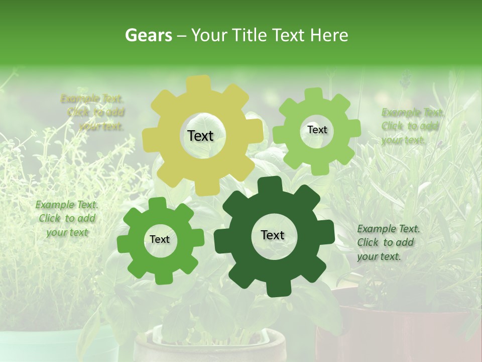 South Sitting Smile PowerPoint Template