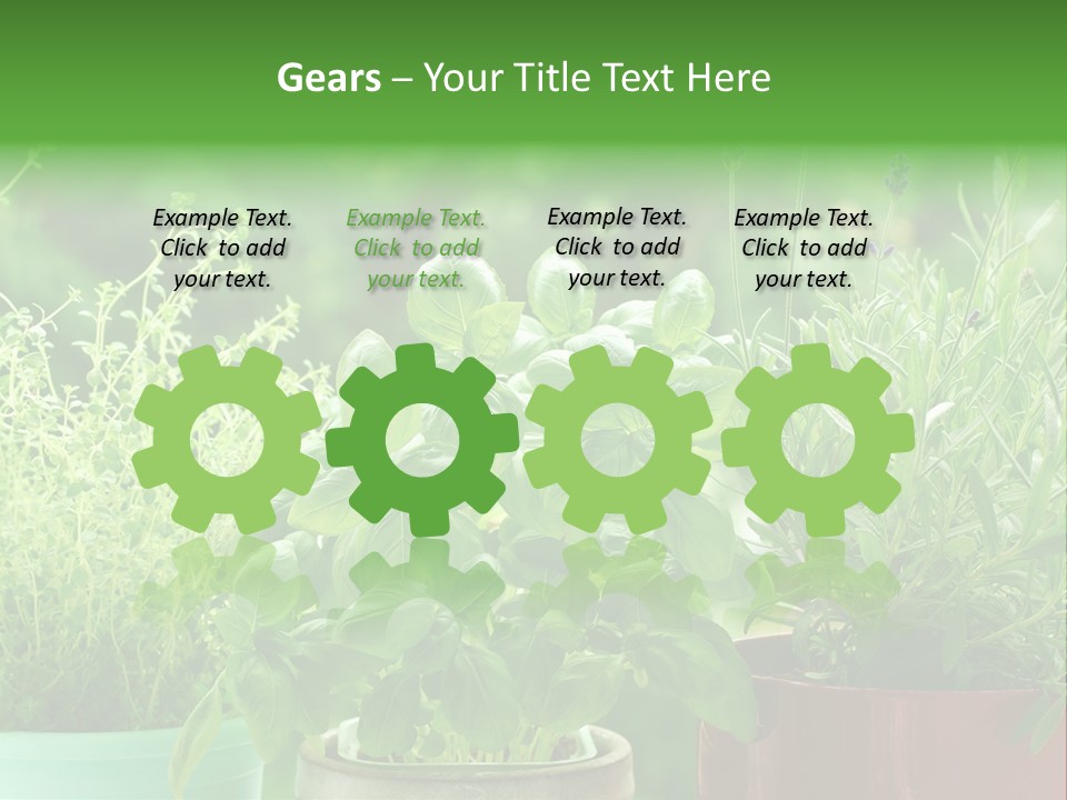 South Sitting Smile PowerPoint Template