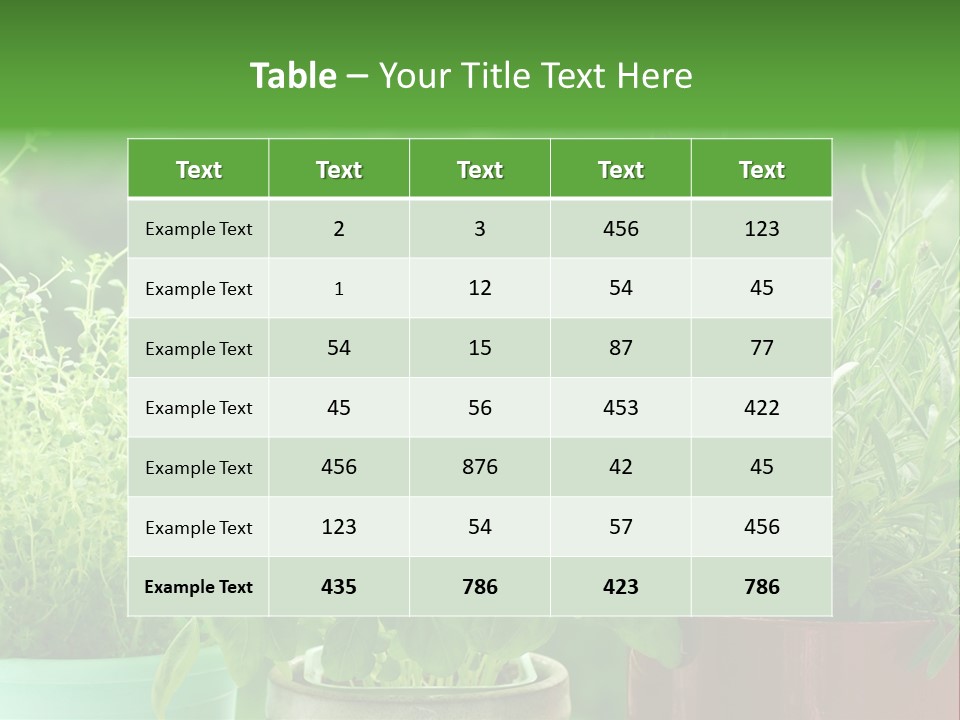 South Sitting Smile PowerPoint Template