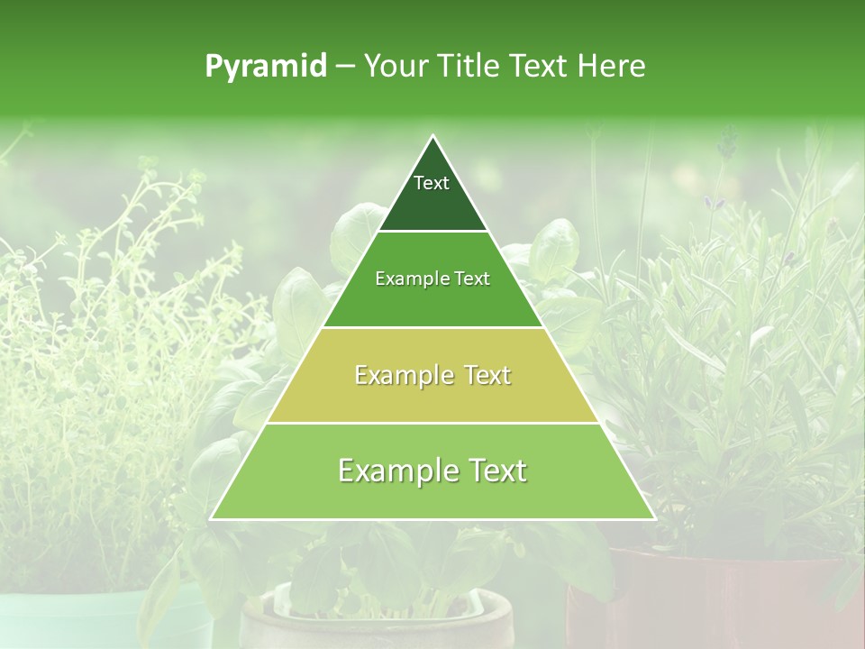 South Sitting Smile PowerPoint Template