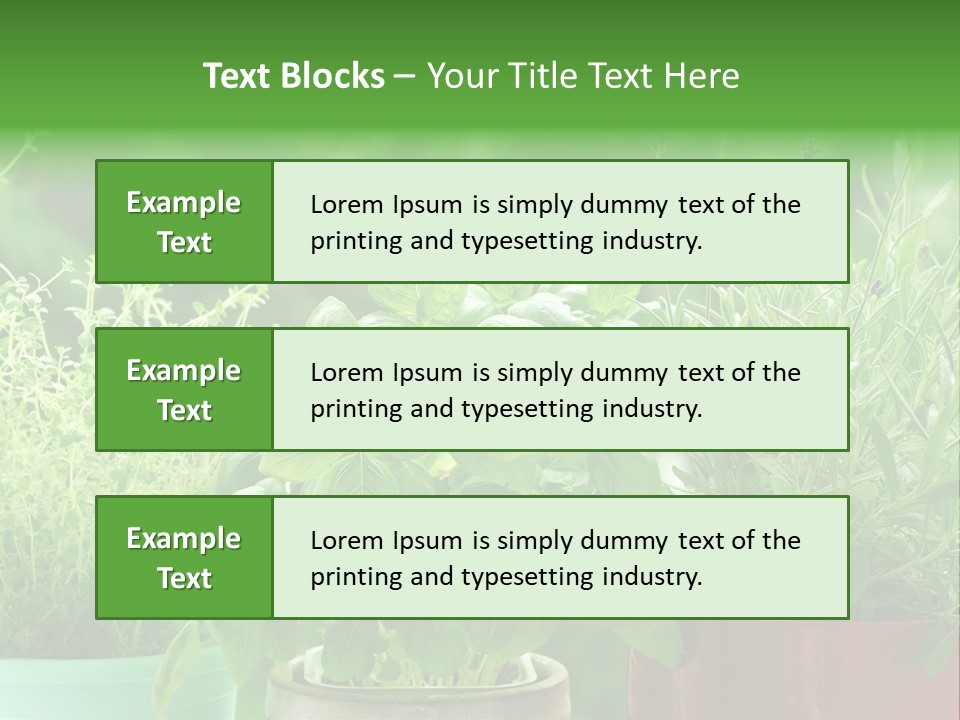 South Sitting Smile PowerPoint Template