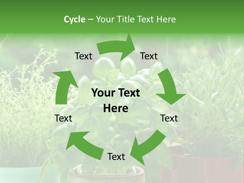 South Sitting Smile PowerPoint Template