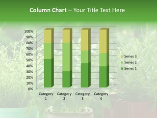 South Sitting Smile PowerPoint Template