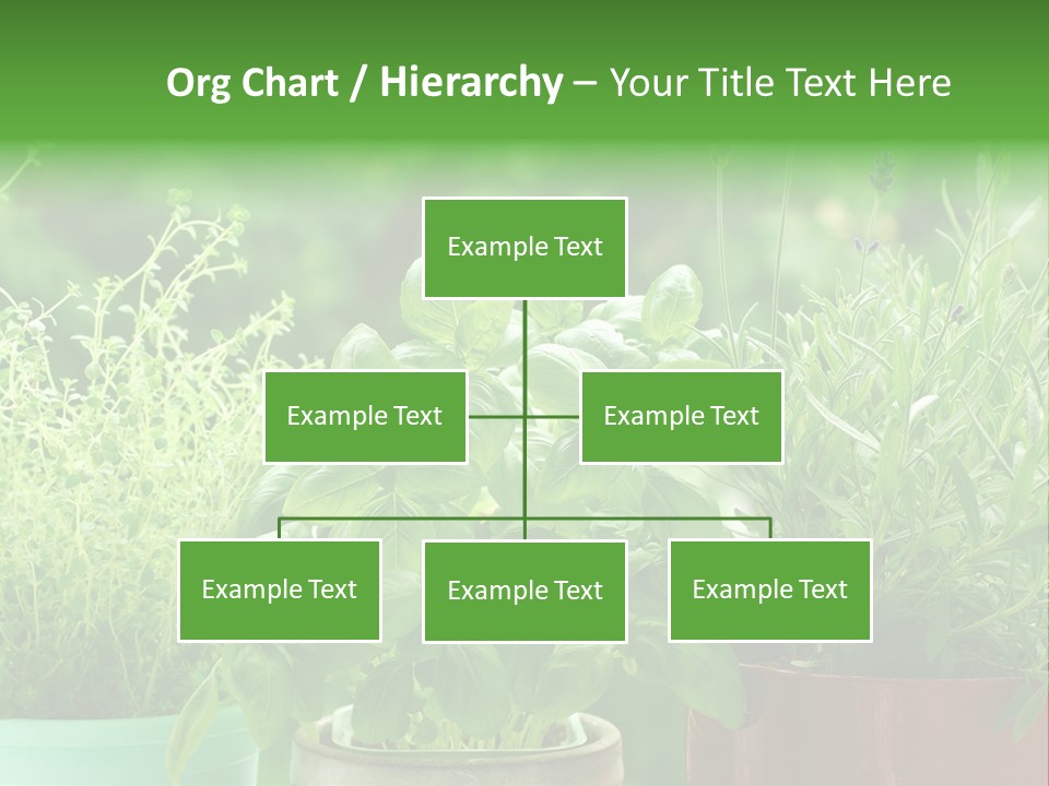 South Sitting Smile PowerPoint Template