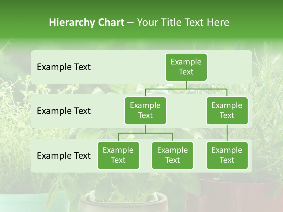 South Sitting Smile PowerPoint Template