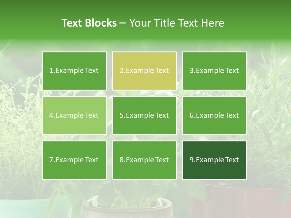 South Sitting Smile PowerPoint Template