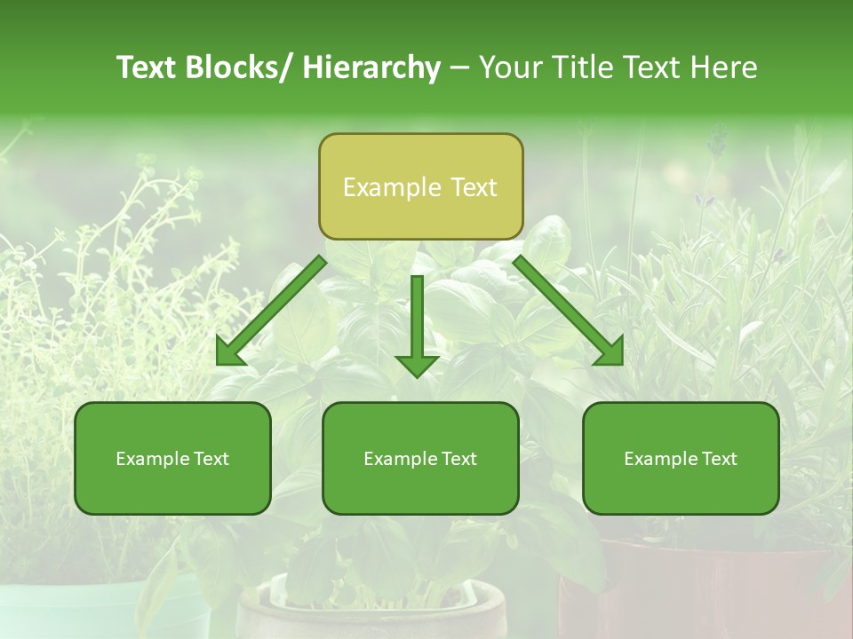 South Sitting Smile PowerPoint Template