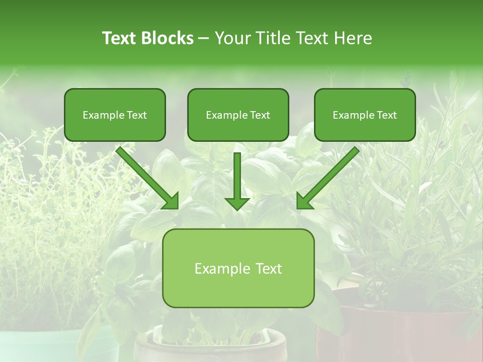 South Sitting Smile PowerPoint Template