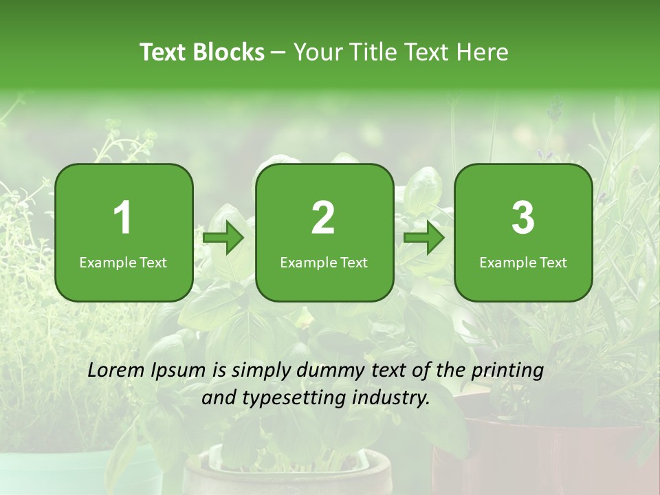 South Sitting Smile PowerPoint Template