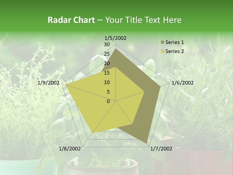 South Sitting Smile PowerPoint Template