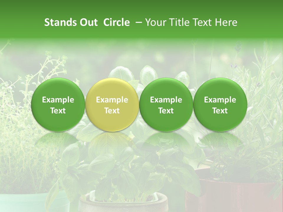 South Sitting Smile PowerPoint Template
