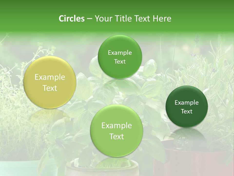 South Sitting Smile PowerPoint Template