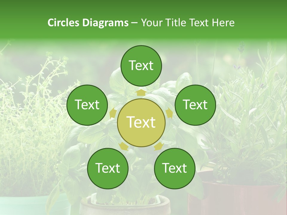 South Sitting Smile PowerPoint Template