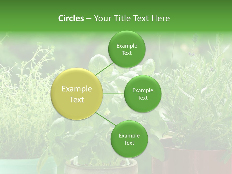South Sitting Smile PowerPoint Template