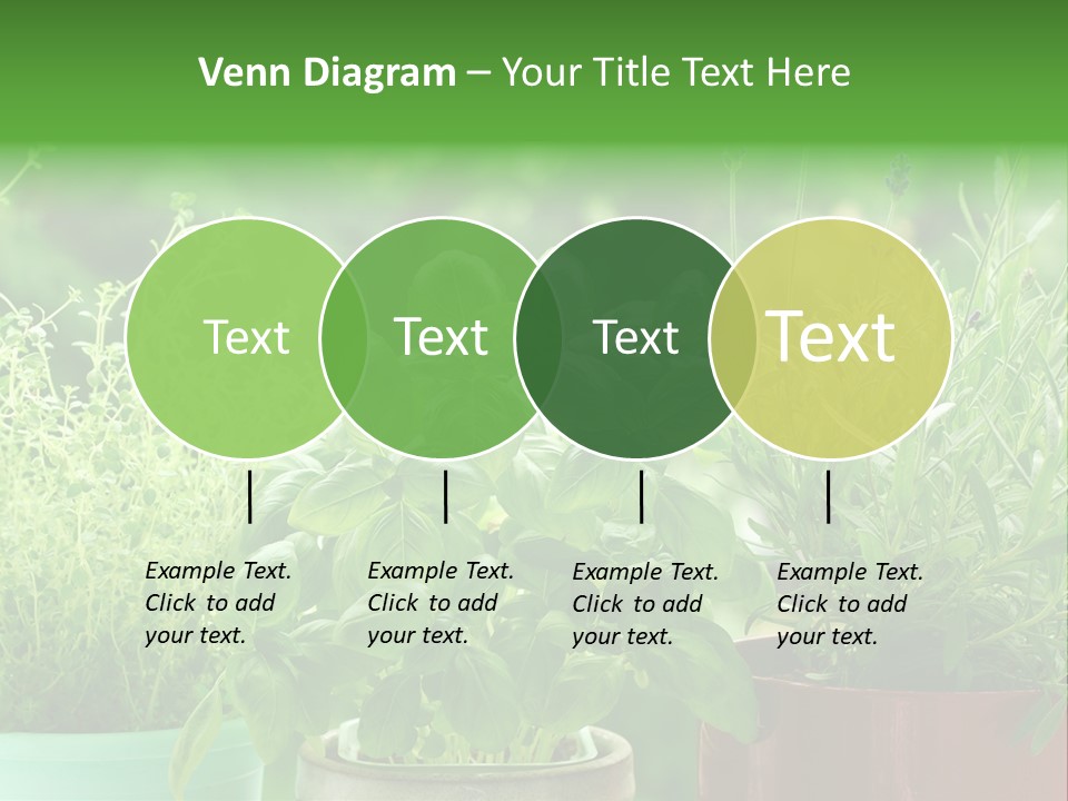 South Sitting Smile PowerPoint Template