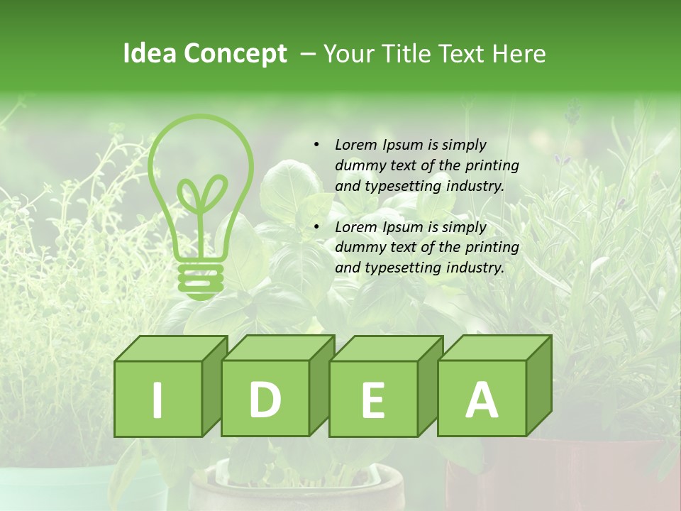 South Sitting Smile PowerPoint Template