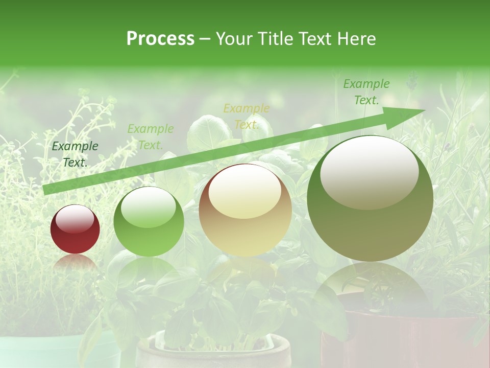 South Sitting Smile PowerPoint Template