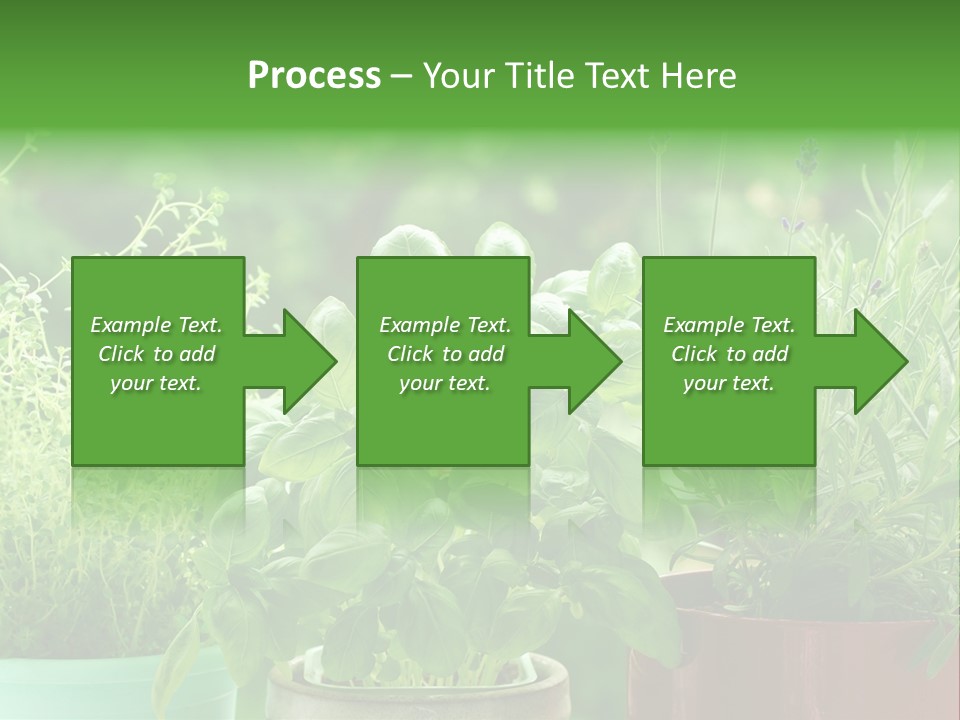 South Sitting Smile PowerPoint Template