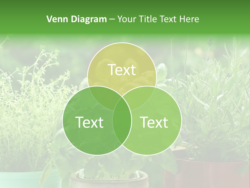 South Sitting Smile PowerPoint Template