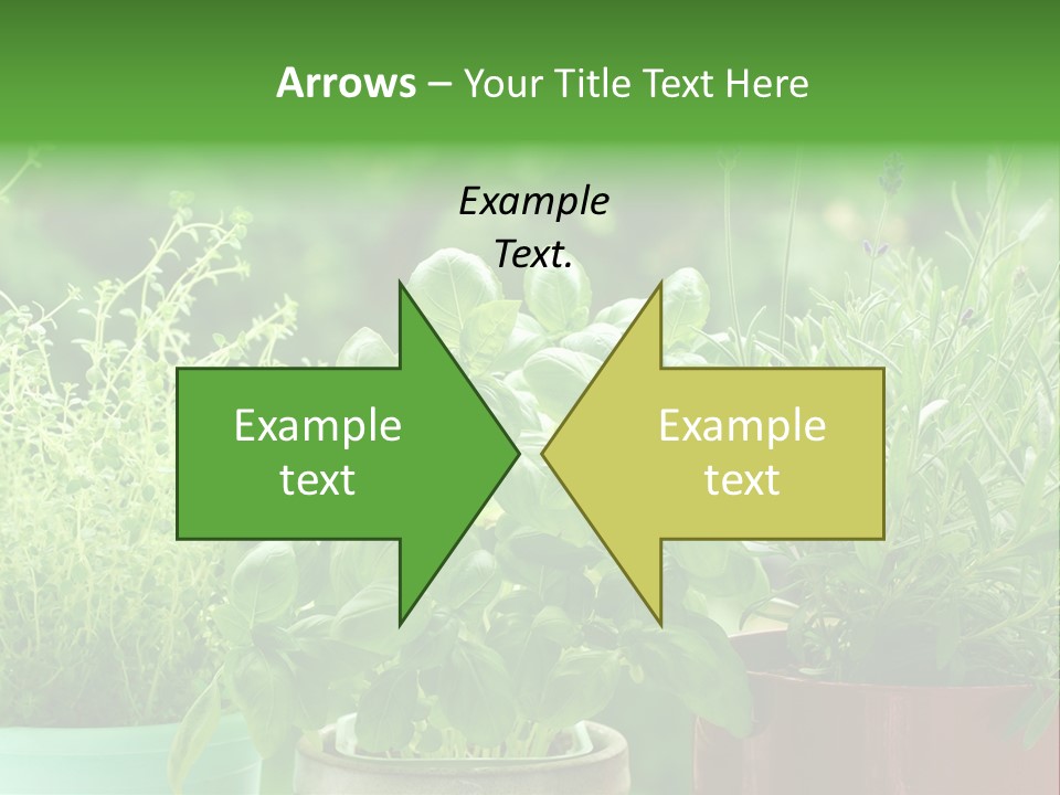 South Sitting Smile PowerPoint Template
