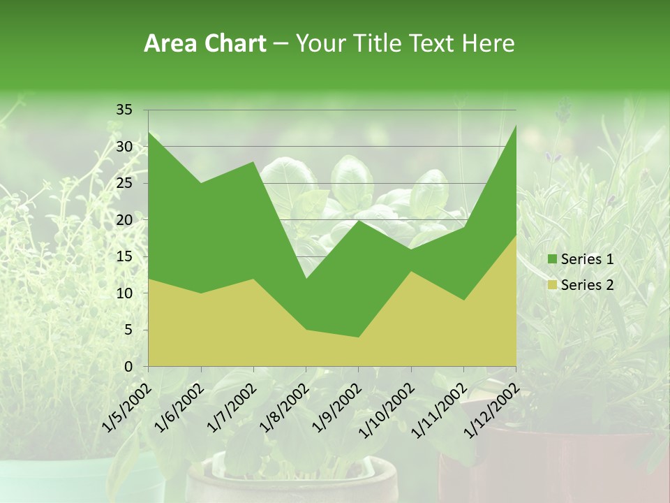 South Sitting Smile PowerPoint Template