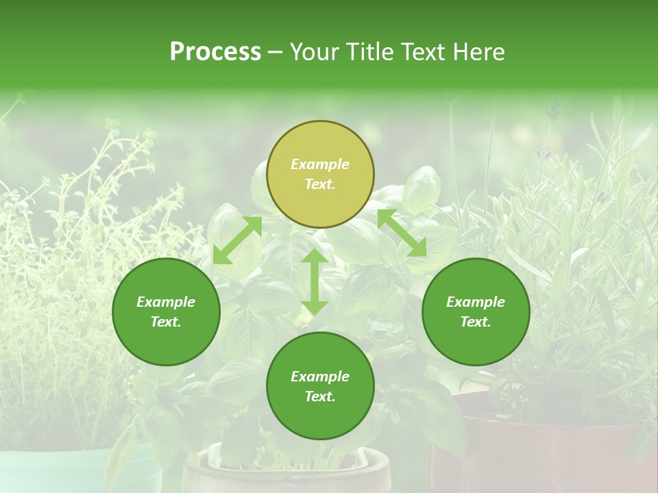 South Sitting Smile PowerPoint Template