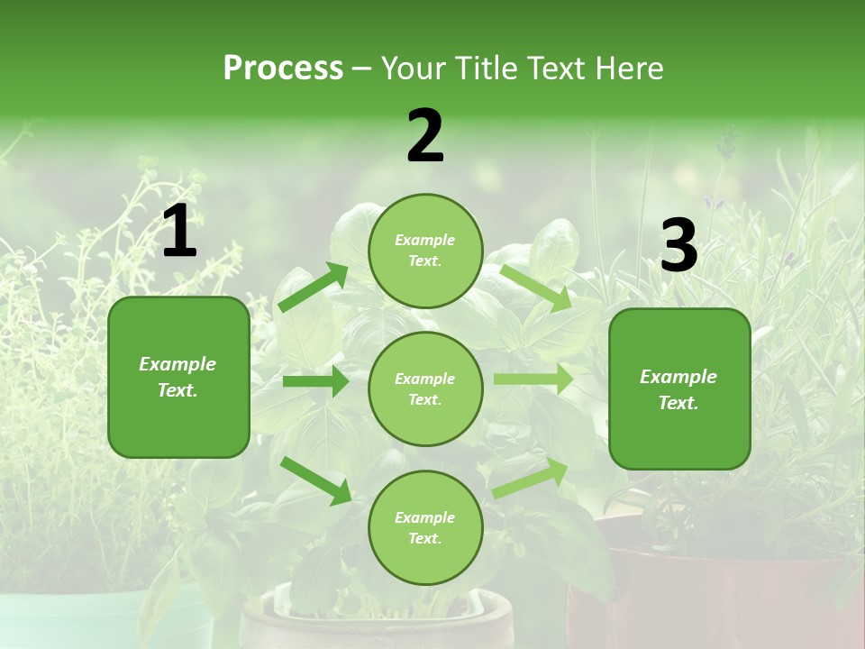South Sitting Smile PowerPoint Template