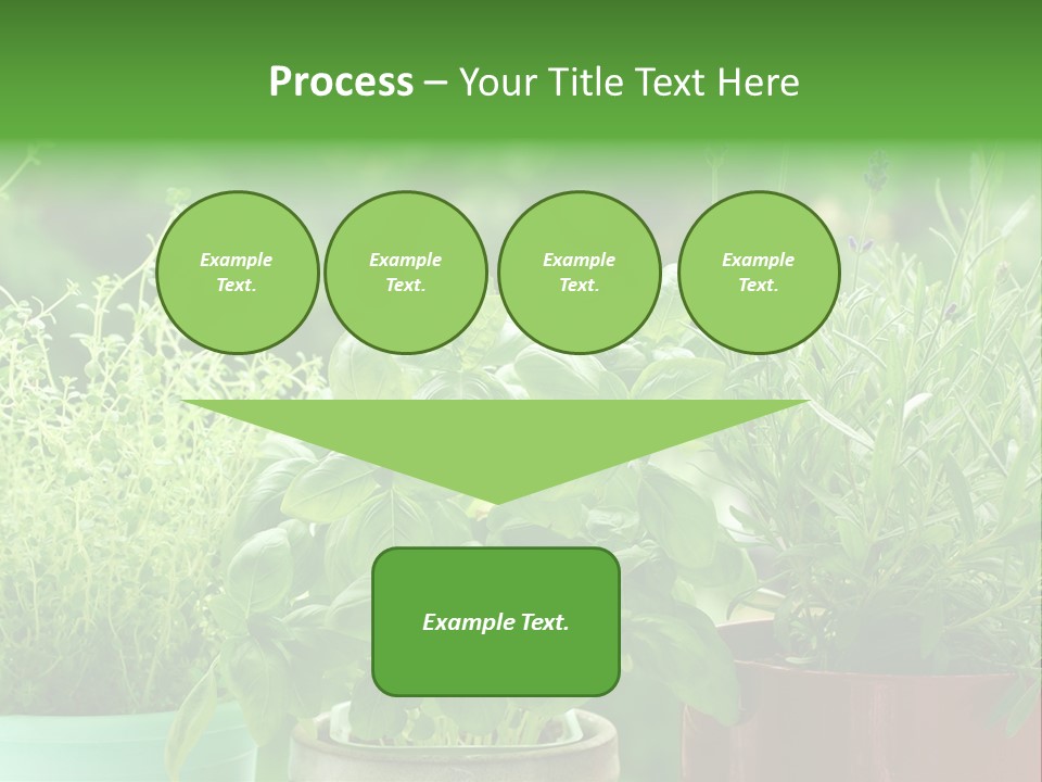 South Sitting Smile PowerPoint Template