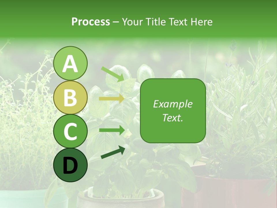 South Sitting Smile PowerPoint Template