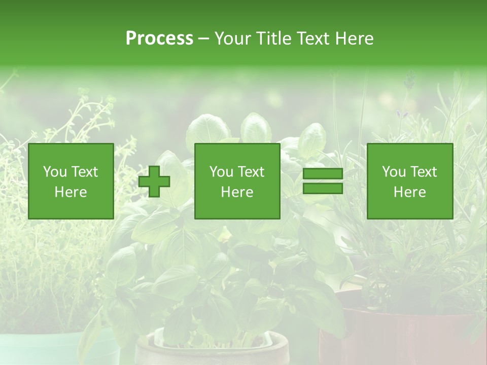 South Sitting Smile PowerPoint Template
