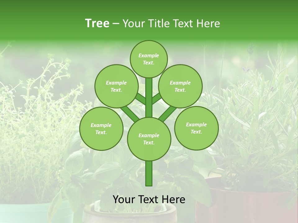 South Sitting Smile PowerPoint Template