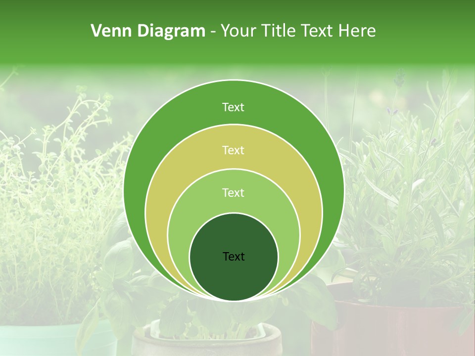 South Sitting Smile PowerPoint Template