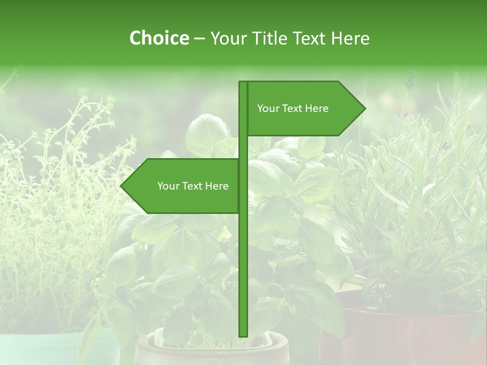 South Sitting Smile PowerPoint Template